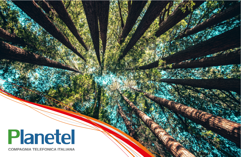 Comunicato Stampa – PLANETEL ADERISCE AL GLOBAL COMPACT DELLE NAZIONI UNITE E PIANTA LA PROPRIA FORESTA PER CONTRASTARE  GLI EFFETTI DEI CAMBIAMENTI CLIMATICI