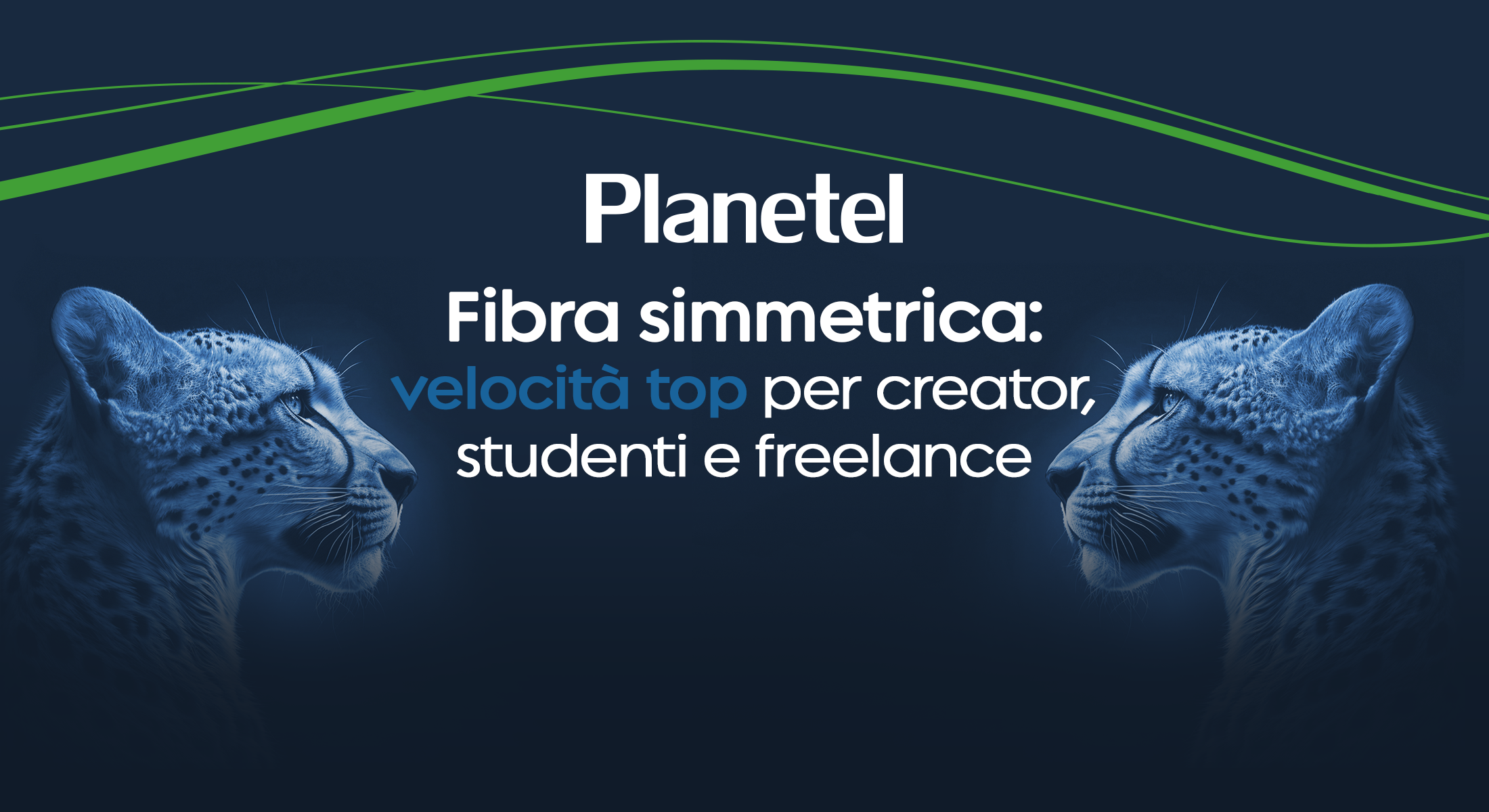 Fibra Ottica Simmetrica Planetel: velocità top per creator, studenti e freelance